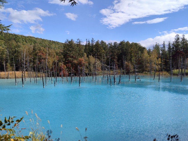 IMG_20260927_123933.jpg