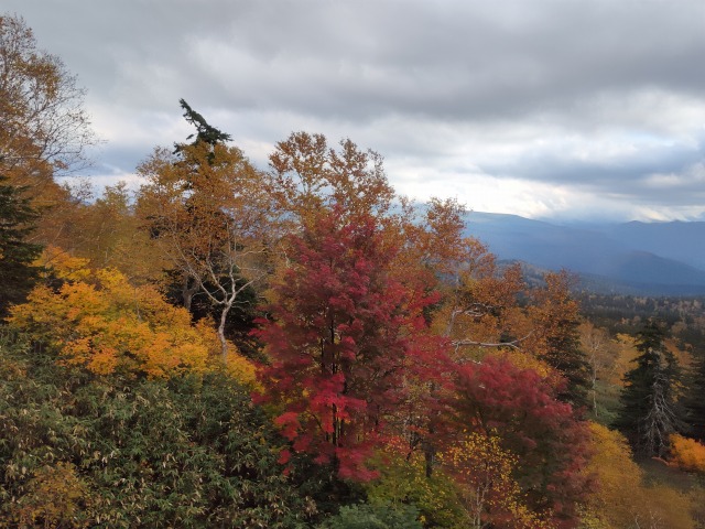 IMG_20260927_150426.jpg