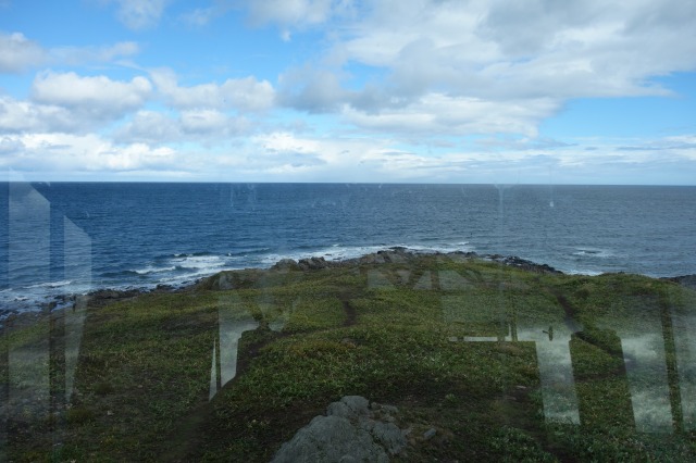 DSC01147.jpg