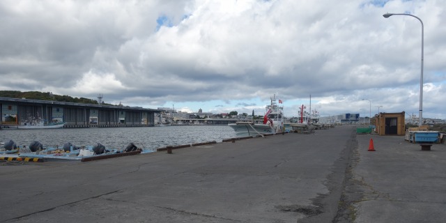 DSC01159.jpg