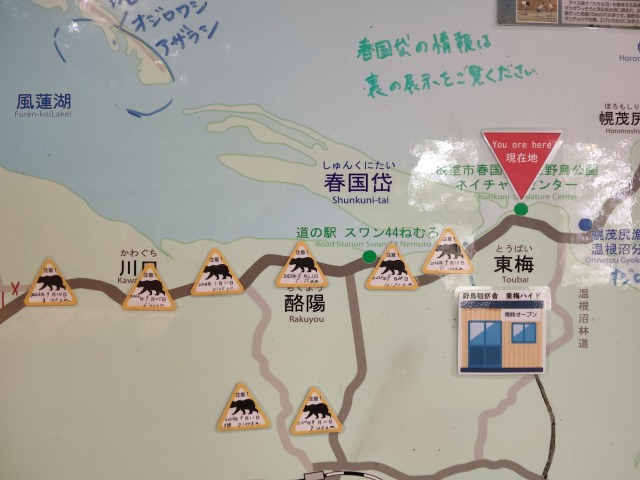 IMG_20261001_115351.jpg