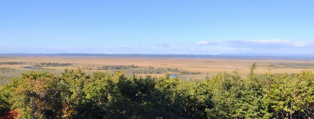 IMG_20261002_080745.jpg