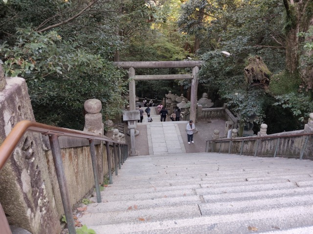 MVIMG_20261017_145810.jpg MVIMG_20261017_145810.jpg